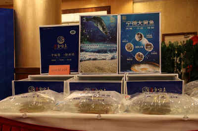 興城多寶魚走進(jìn)北京品牌推介會專題活動在京圓滿召開